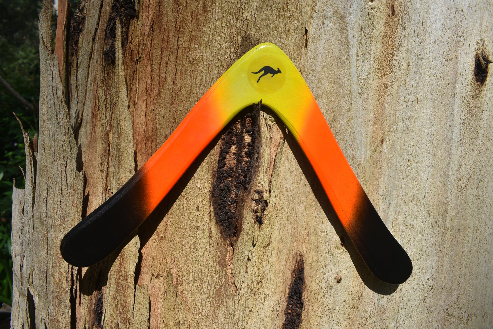 Aussie Arrow with Australian gum tree